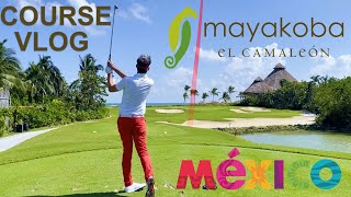 Mayakoba Golf Course Vlog  Mexico  By Reno The French Golf Coach [upl. by Hplodur]