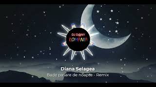 Diana Selagea Bade pasare de noapte Remix [upl. by Anifad]