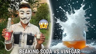 Vinegar And Baking Soda Experiment 😲 [upl. by Niwhsa]