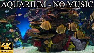 Dream AQUARIUM 4K Underwater Sounds NO Music NO Ads  Fish Tank Underwater Ambience [upl. by Chura]