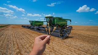 Getting Hailed Out In The Combine [upl. by Egdamlat]