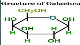 structure of galactose [upl. by Jacenta]