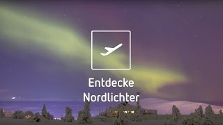 Die 3 besten Orte um Nordlichter zu entdecken [upl. by Yeung]