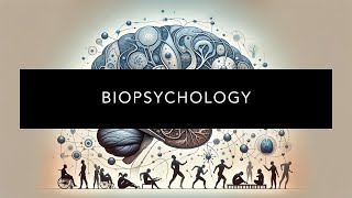 Understanding Biopsychology [upl. by Elnukeda]