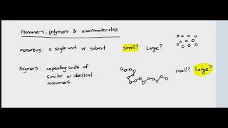 22 Monomers Polymers and Macromolecules Cambridge International AS amp A Level Biology [upl. by Niknar]