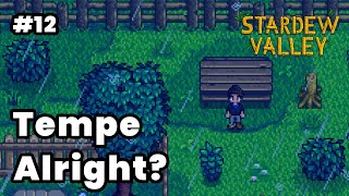 Tempe apa yang gapapa  Stardew Valley PC [upl. by Skcirdnek79]