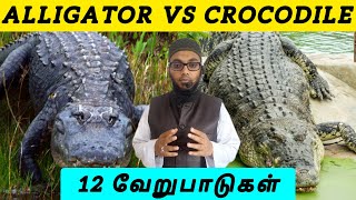 12 Different between Crocodile Vs Alligator  Arham Usmani Umari [upl. by Gwendolin624]