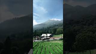 Cangar mojokerto metimemoment youtubeshorts [upl. by Martha554]