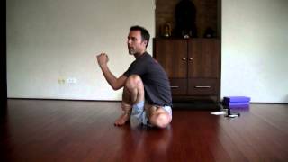 Paul Dallaghan Explains and Demonstrates Marichyasana D [upl. by Ahsini]