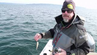 Learn How to Mooch for Salmon with Capt Keith Robbins [upl. by Callida662]