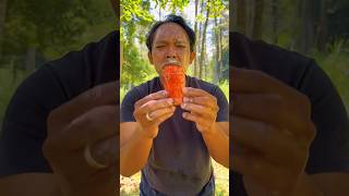 SIMPLE ideas you should know 🌲💚campingsurvival bushcraft outdoors lifehack208KLikesshorts [upl. by Lianne]