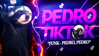 BEAT PEDRO TIKTOK  Meme  Guaxinim Dançando FUNK REMIX by Canal Sr Nescau [upl. by Ziagos]