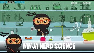 Welcome to Ninja Nerd Science [upl. by Noedig]