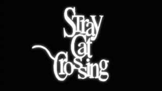 Stray Cat Crossing OST  Danser avec les Araignees [upl. by Eiboj]