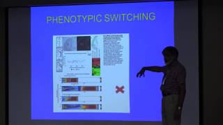 Philip Maini  Examples of Collective Cell Movement in Biology [upl. by Htabmas]