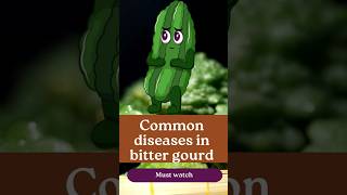 Common diseases in Bitter gourd [upl. by Correna]