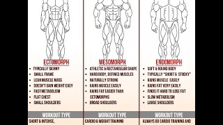 Ectomorph Body Type Fitness Program How To Get Big When You Are Skinny Ectomorph Fitness [upl. by Rizan]