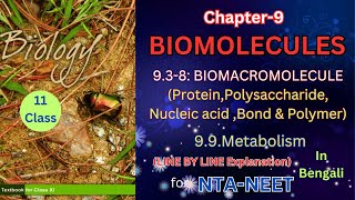 Biomolecules part 2 class 11 theory from NCERT in Bengali Harunbiozone [upl. by Selmore]