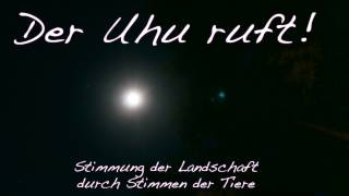 Der Uhu ruft [upl. by Iaw]