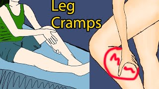 Night leg cramps  Leg Cramps at Night Causes Pain Relief amp Prevention [upl. by Schnur]