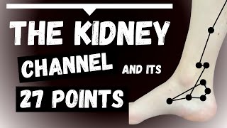 Kidney Channel 27 Acupuncture Points functions locations acupuncture [upl. by Irah]