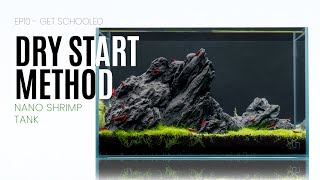 The Fastest Aquascape and Nano Planted Tank Dry Start Method  EP11 Get Schooled [upl. by Paley]