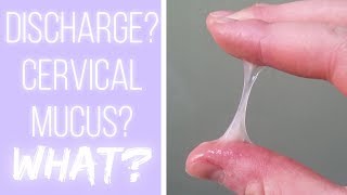 Whats Cervical Mucus The Cervical Mucus Project [upl. by Ardaed383]