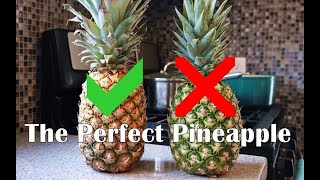 How To Choose A Ripe Pineapple EVERY TIME  CaribbeanPotcom [upl. by Saint]