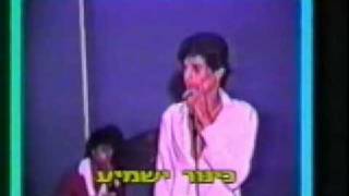 זוהר ארגוב  צל עץ תמרהרחק ביער [upl. by Terhune]