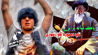 دمبوره مست و کاروای ها چوچه شاپورک دمبوره گاو زنبوری Top the Best Dambora [upl. by Fairlie729]