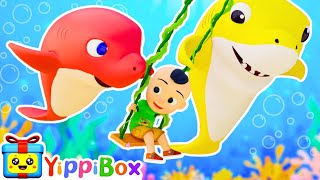 PLAYTIME with BABY SHARK  Lets Go Play Doo Doo Doo  YippiBox Nursery Rhymes amp Kid Songs [upl. by Rome238]