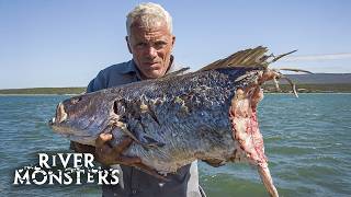 HORROR Stories about the SCARIEST River Monsters Part 3 [upl. by Ainecey]