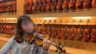 現代樂器 法蘭山德 SANDNER CV6 Violin 表演級 小提琴 示範影片 [upl. by Yznyl]