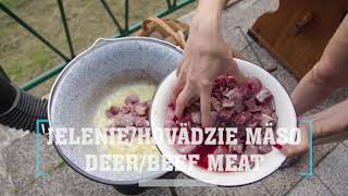 DEERBEEF GOULASH  JELENÍHOVÄDZÍ GULÁŠ video recipe recept [upl. by Fatimah377]