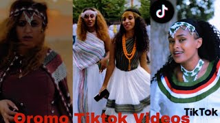 Sirba afaan oromoo haaraa 2023 Oromo music  Oromotiktok [upl. by Ardnohsed]