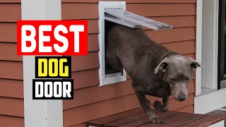 ✅Best dog door in 2023 [upl. by Darahs]