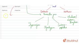 DNase and RNase enzymes produced by [upl. by Trojan]