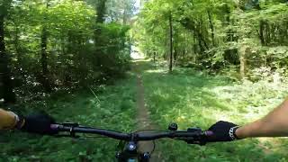 Sortie VTT en forêt de Montagne de Reims [upl. by Tace]