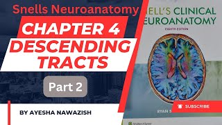 Descending tracts part 2  Chapter 4 Snells Neuroanatomy [upl. by Bobker]