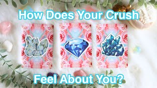 ✨How Does Your Crush See you👀Pick A Card Timeless Tarot Reading [upl. by Aynwat]