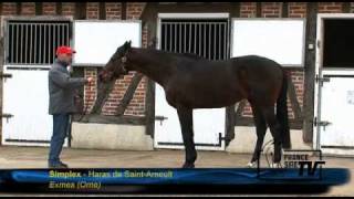 Haras de Saint Arnoult  Route des Etalons 2011 [upl. by Lapo980]