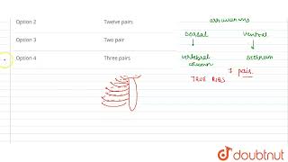 The number of bicephalic ribs in human are  12  NTA NEET SET 45  BIOLOGY  NTA MOCK TESTS EN [upl. by Adelice]