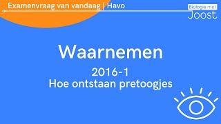 2 Examenvraag van vandaag  Havo  20161 Hoe ontstaan pretoogjes [upl. by Ynamad857]