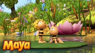 MAYA y WILLY SE VAN DE EXCURSIÓN🌞🐝🌿 MEJORES CAPÍTULOS DE MAYA para niños en ESPAÑOL 🐝 [upl. by Yrad]