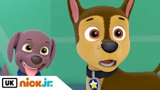 Paw Patrol  Sing Along Friendship Song  Nick Jr UK [upl. by Asital]