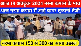 आज 18 अक्टूबर 2024 नरमा कपास भाव में बम्पर तूफानी तेजी narma kapas ka bhav cotton Prices today [upl. by Hannahoj]