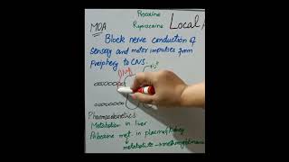 local anesthetic drugs mechanism of action [upl. by Mackler]