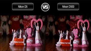 Nikon D5 vs Nikon D500 Video Test [upl. by Spark]