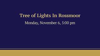 Tree of Lights 2023  Rossmoor [upl. by Anaej]