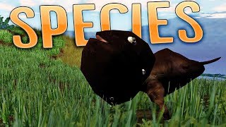 Species  Evolving A Worm Species  Species Artificial Life Real Evolution Gameplay [upl. by Ahsinirt407]